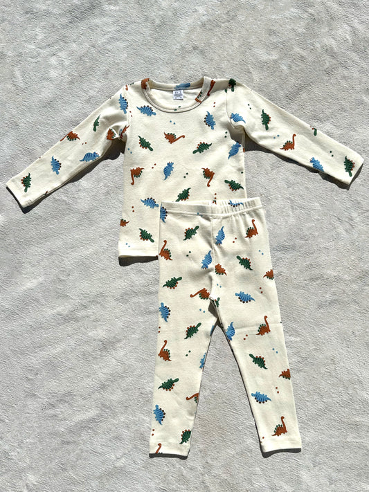 Cozy Set in Dino Print